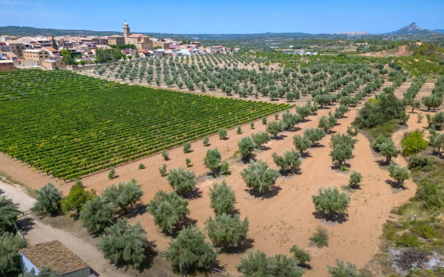 Vilar Rural d'Arnes by Serhs Hotels