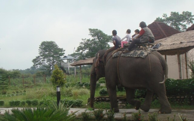 Musa Jungle Retreat