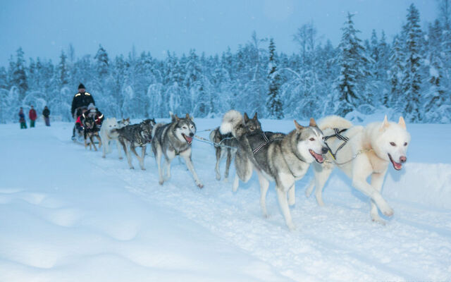 Lapland Hotels Snow Village