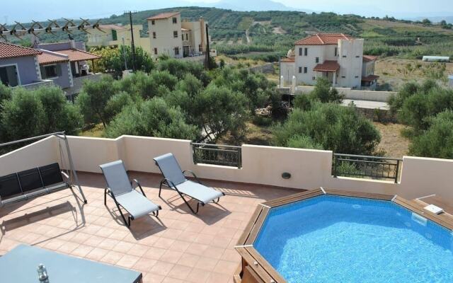 Olive Tree Farm