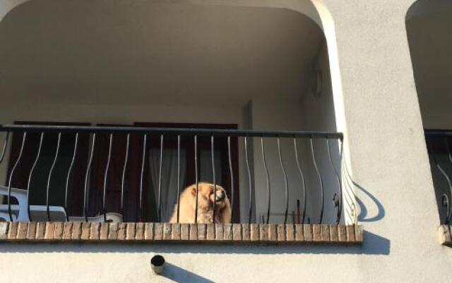 Res. Michelangelo Resort 252S