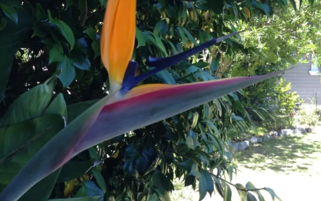 The Coach House at Hillwood