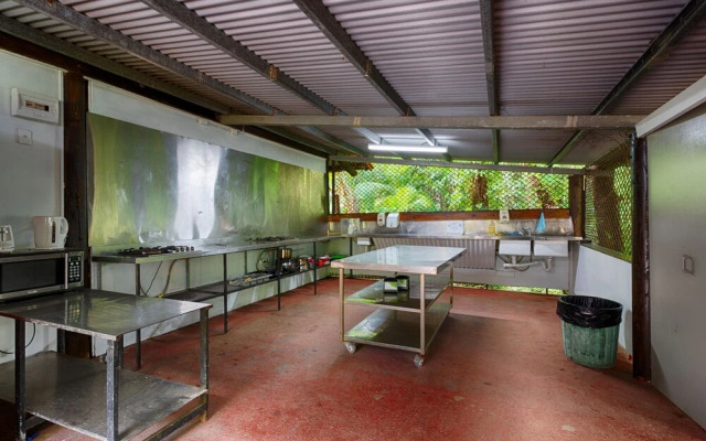 PKs Jungle Village - Hostel