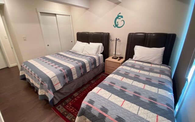 #005 Vail International