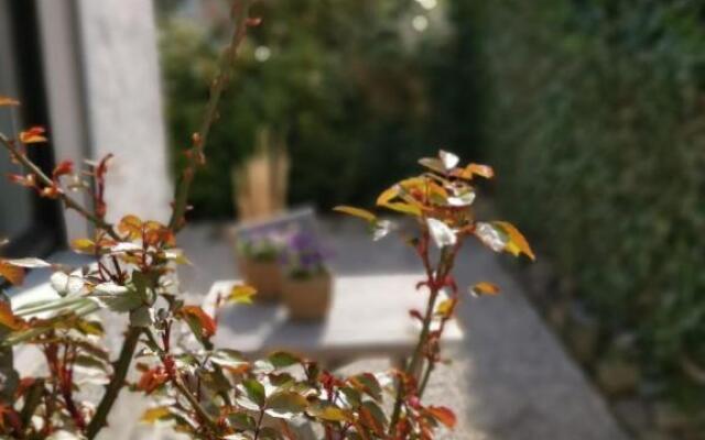 Harzstern Bungalow Studio mit Garten