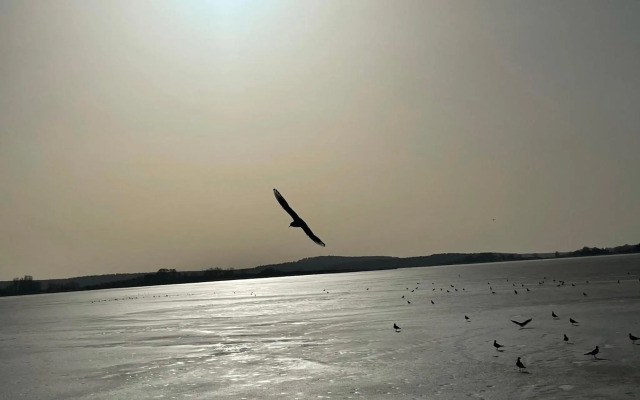 Appartement Seebadallee