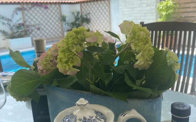 Private pool just for you Biograd