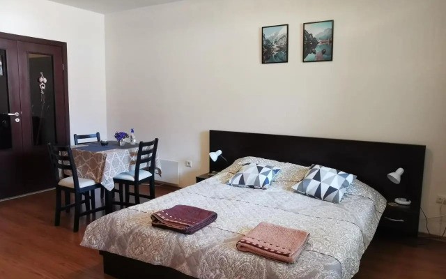 Sunny studio apartment - few steps from Gondola