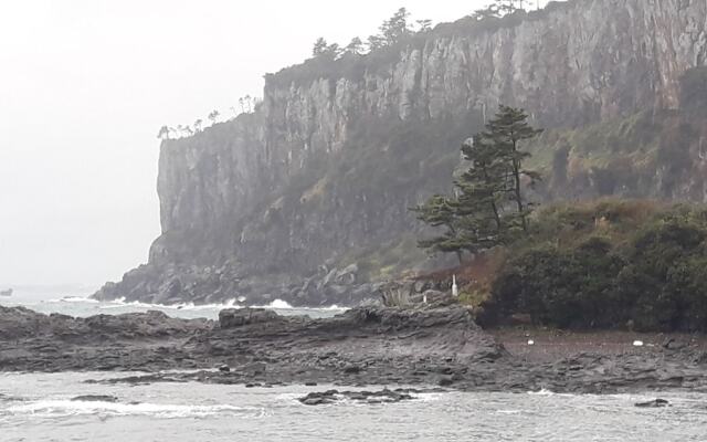 Jeju Nandere Log Pension