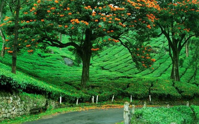 Grand Plaza Munnar