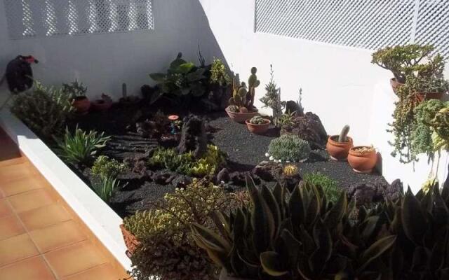 Apartment in Arrieta, Lanzarote - 101648