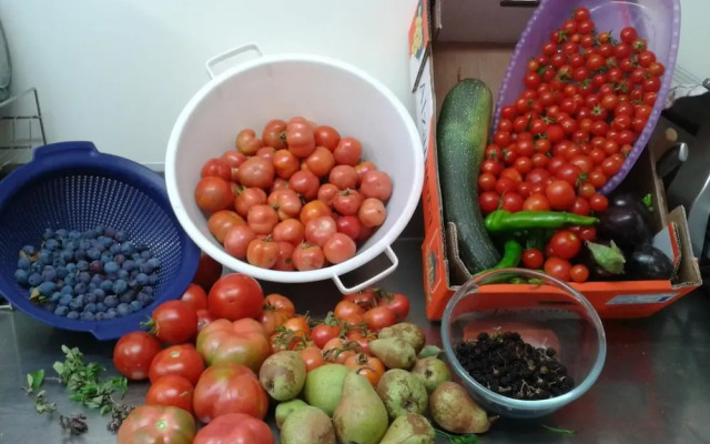 Casa Rural Masia Rovira