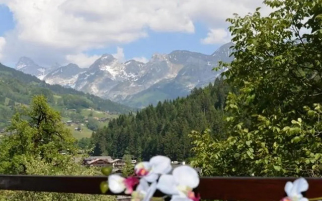 Appartement Le Grand-Bornand, 1 pièce, 4 personnes - FR-1-241-97