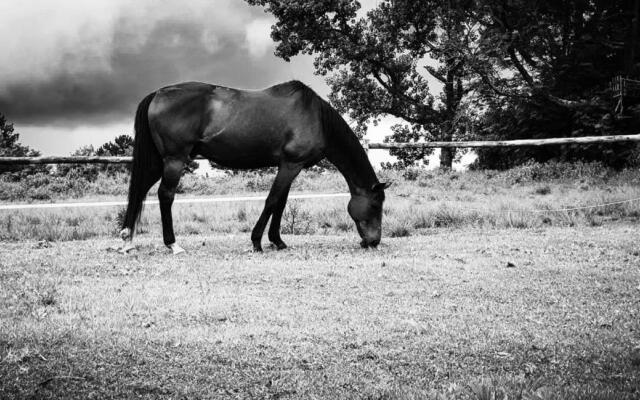 Caladdi Bed and Breakfast