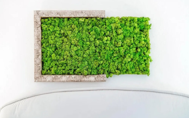 The Green Nest by Lake Como