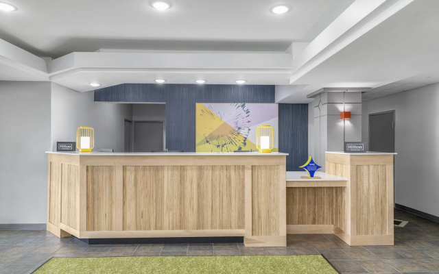 Spark by Hilton Lansing