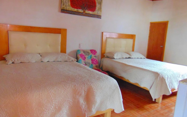 Room-nice Quadruple Cabin Equipped And V