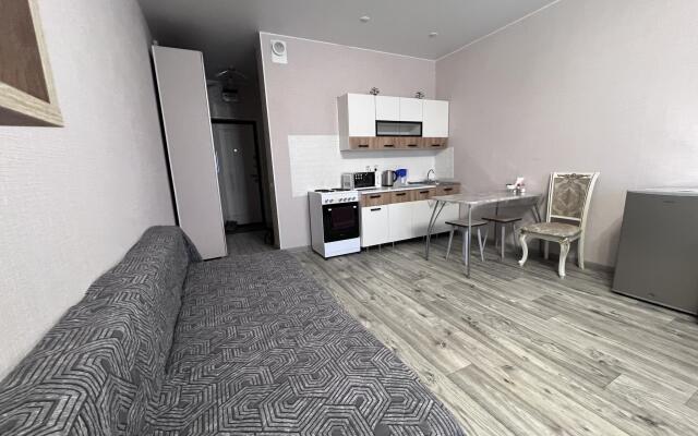AlexHome (Alexhome) on Pushkin Street 8-165