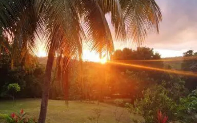 Villa tropicale charmant T2 dans un cadre verdoyant