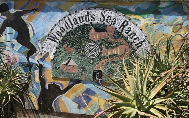 Woodlands Sea Ranch