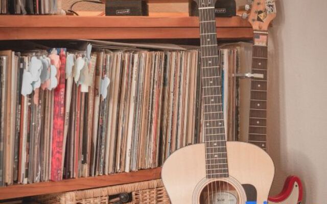 Harvestmoon Vinyl Record Villa