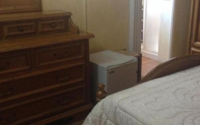 B&B Chorisia