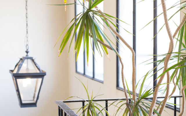 Tornabuoni Suites Collection