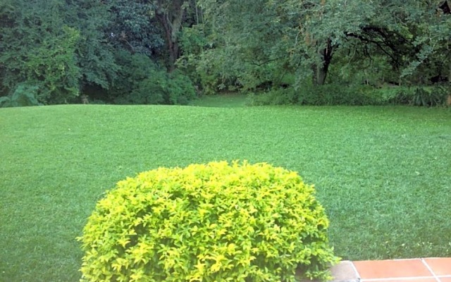 Emfuleni Bed and Breakfast