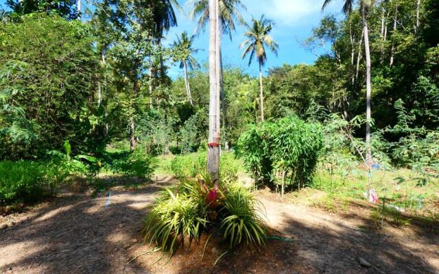 Chom Suan Homestay