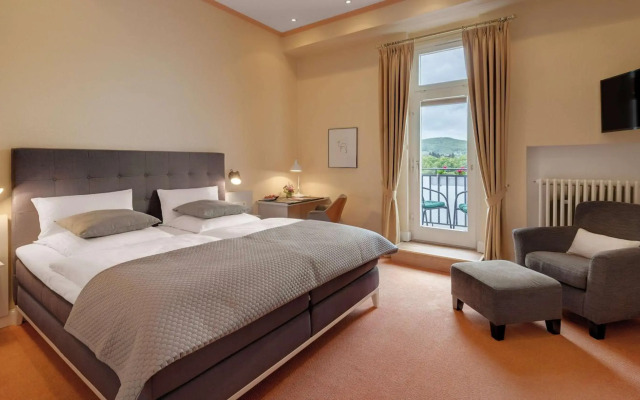 Rheinhotel Dreesen