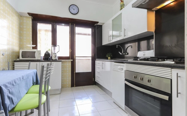 Olaias Classic by Homing