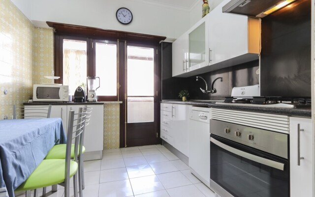 Olaias Classic by Homing