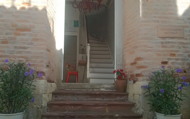 Konak phaedra
