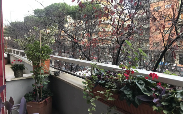Casa Tua Vaticano Guest House