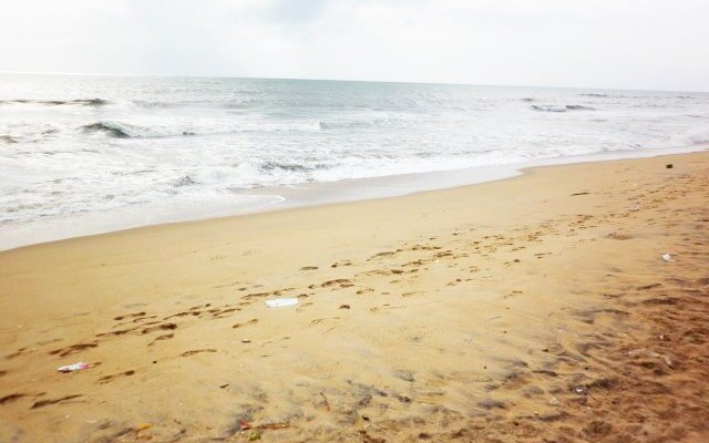 Beach Monkey@Colombo Airport Negombo