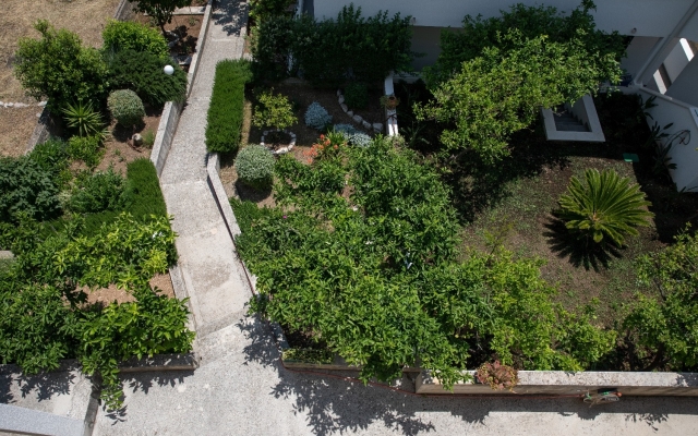 Apartment Ruzica - with sea view: A1 - plavi Igrane, Riviera Makarska
