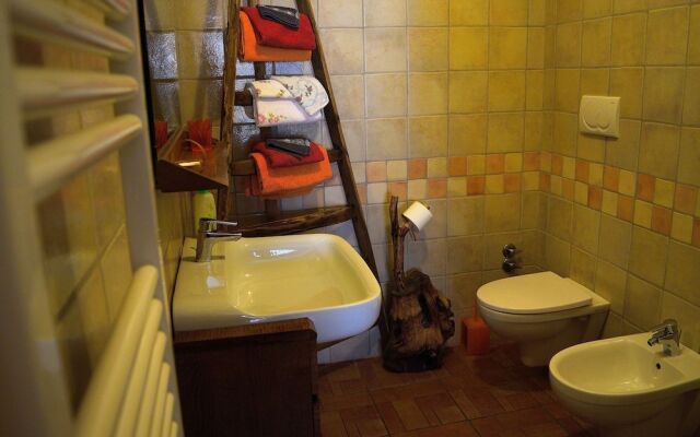 B&B Animali Selvaggi