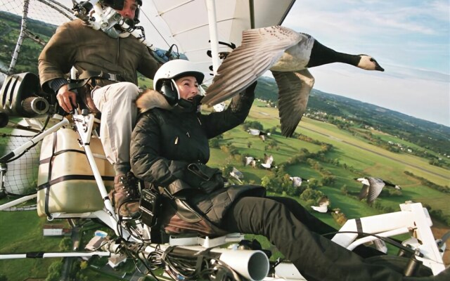 Voler Avec les Oiseaux