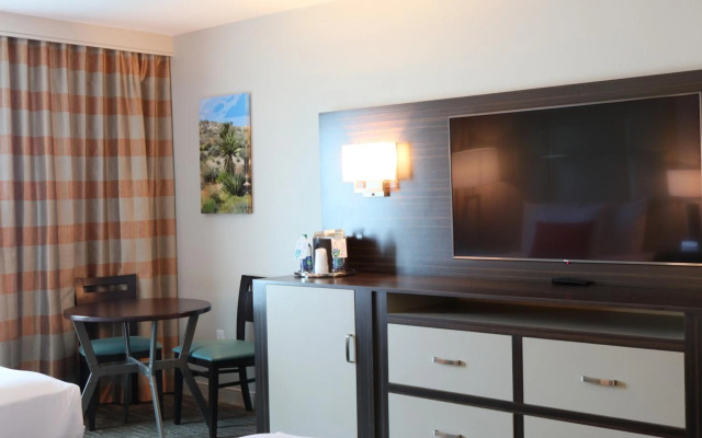 Avi Resort & Casino