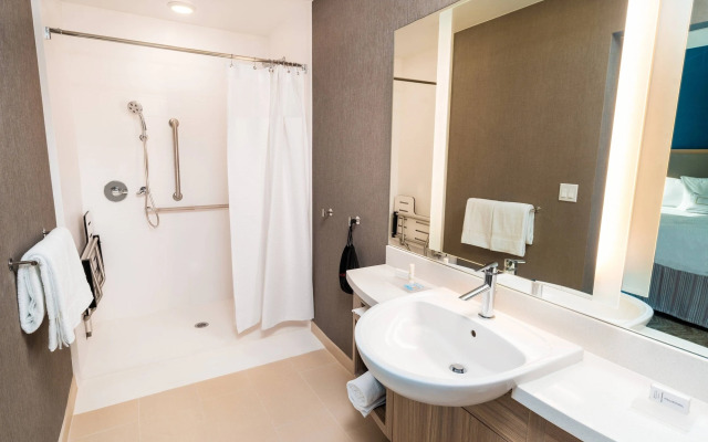 SpringHill Suites by Marriott Newark Fremont