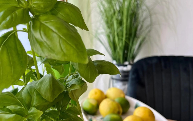 Luxurious city apartment incl garage and terrace