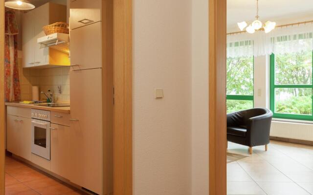 Modern Apartment in Reinhardtsdorf-Schona near Ski Slopes