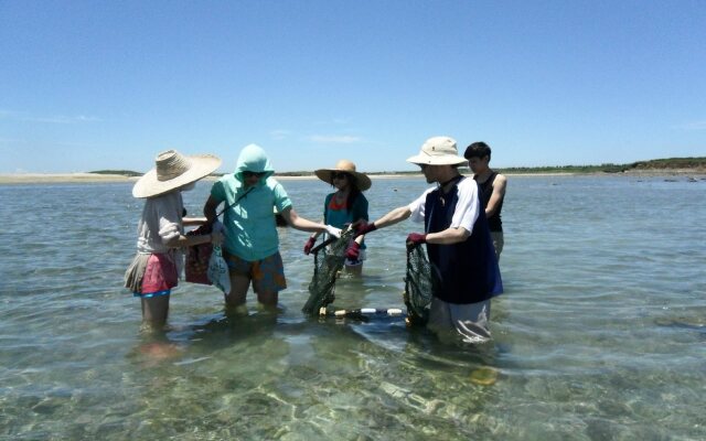 Bay of Chen-Hai Penghu Homestay