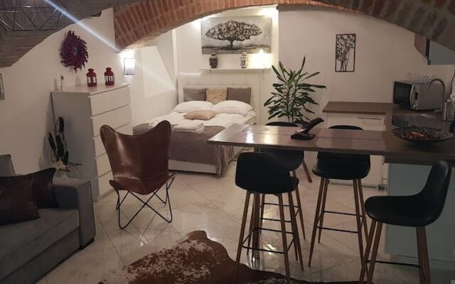 Studio Apartment La Bodega