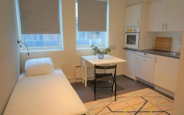 Seminarbakken Appartments