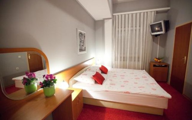 Hotel Drava