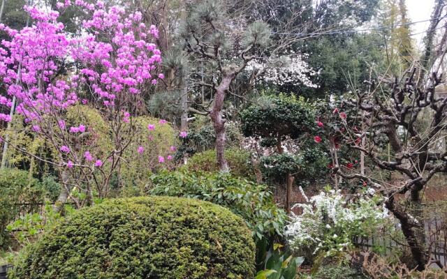 Guesthouse Oomiya base