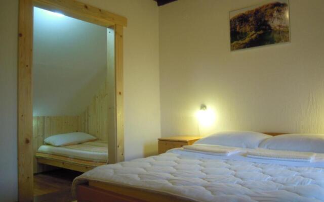 Wooden house Nela