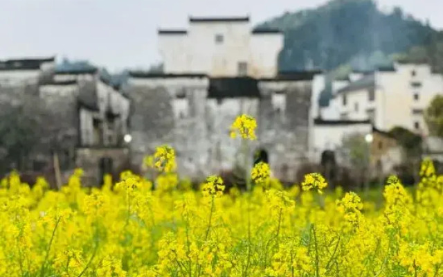 Wuyuan waiting for your homestay