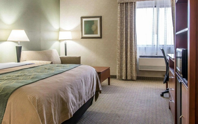 Comfort Inn Near Greenfield Village